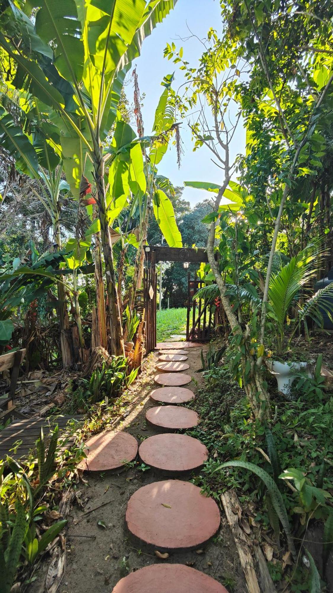 Eco Hostel Bosque Di Barro Velha Boipeba ภายนอก รูปภาพ